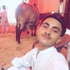 funnybirthdaymoha