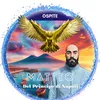 MatteoDelPrincipeDiNapoli