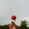 hafsa.shamim67