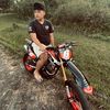 arilwhyu126