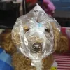 sam_pochuche