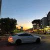 halil_alpaya63