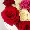salma.yzz