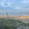 grass_143