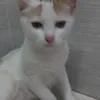 user310023445