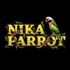 nika.parrot