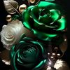 user7680019680400