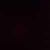 lippp_7