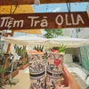 olla.tea