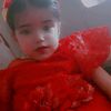 hala_the_king