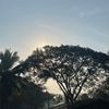 aungminnkhant122100