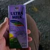 rexonagajah