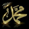 sahaida.wajahat