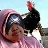 kaburat12