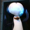 particlepenguin