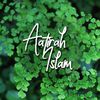 Aatirah islam