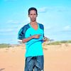 wllbarella