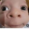 benthegoat77