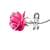 hanan.am54