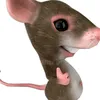 manutellaoficial0