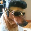 picapau.de.boas