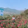 su.nguyn235