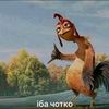 rise_di21