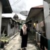 lny_lia