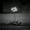 e.anh.th