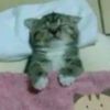 pssnthere