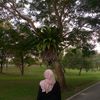thisiskaaq