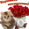 user4411355707817