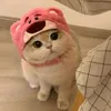 hngdng3582