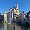 disneyland.drinks