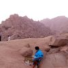 halmey.mohamed