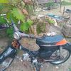 radit.maikal