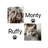 monty.ruffy