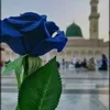 om.ali0725