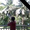 pinedareign2