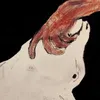 gogagll