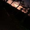 rakib.rakib183