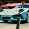 matija..carspoter