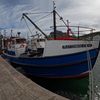 shaan8146