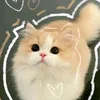kobttoilaai28