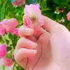 ainaali51