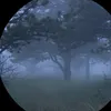 dljbjsvihm0