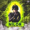 dt_nilor