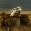 7emran0