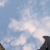 zai.a.s