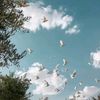 poet_1414